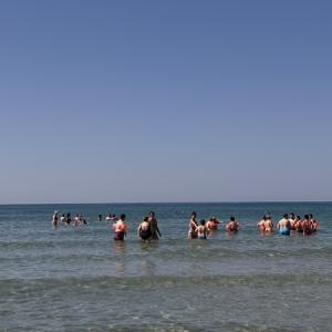 Img 7047