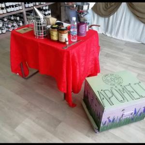 ΣΥΛΛΟΓΟΣ ΔΙΩΝΗΣ