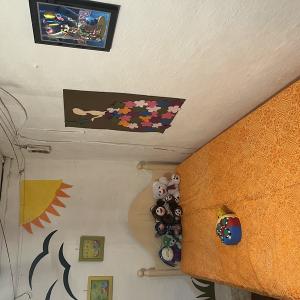 Image00008